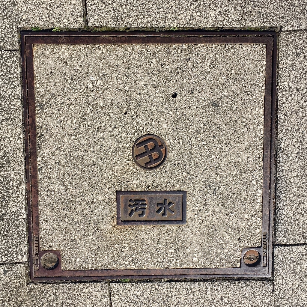 f:id:iamokura:20190111214452j:plain f:id:iamokura:20190111214452j:plain