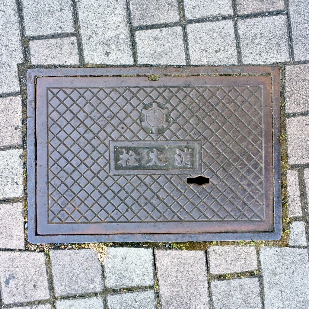 f:id:iamokura:20190212205142j:plain f:id:iamokura:20190212205142j:plain