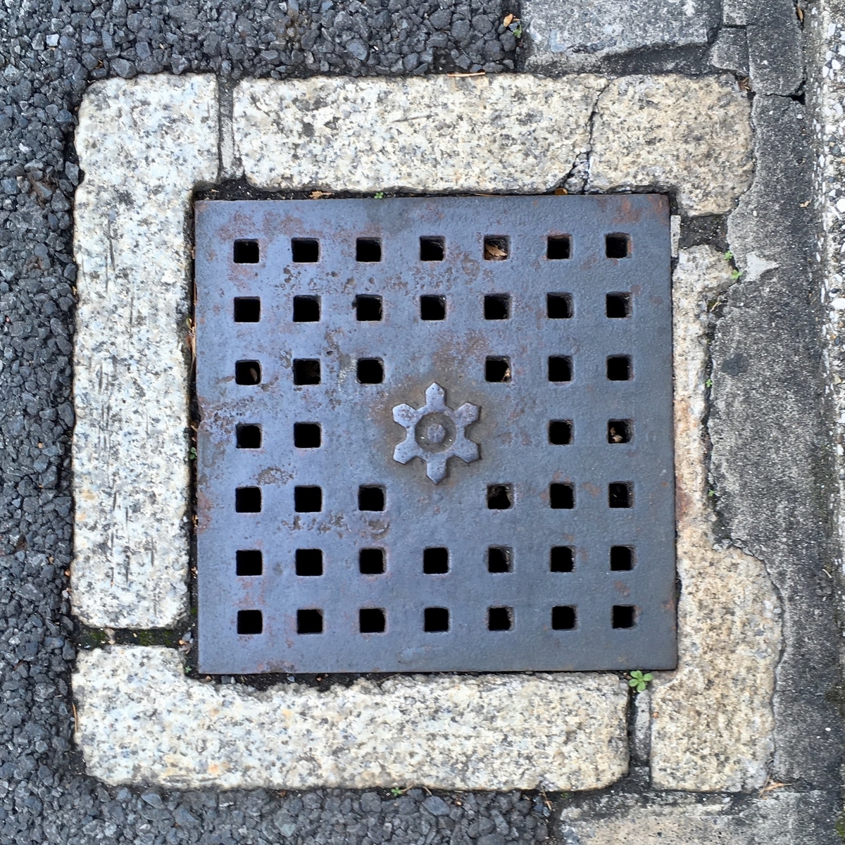f:id:iamokura:20190620203634j:plain f:id:iamokura:20190620203634j:plain