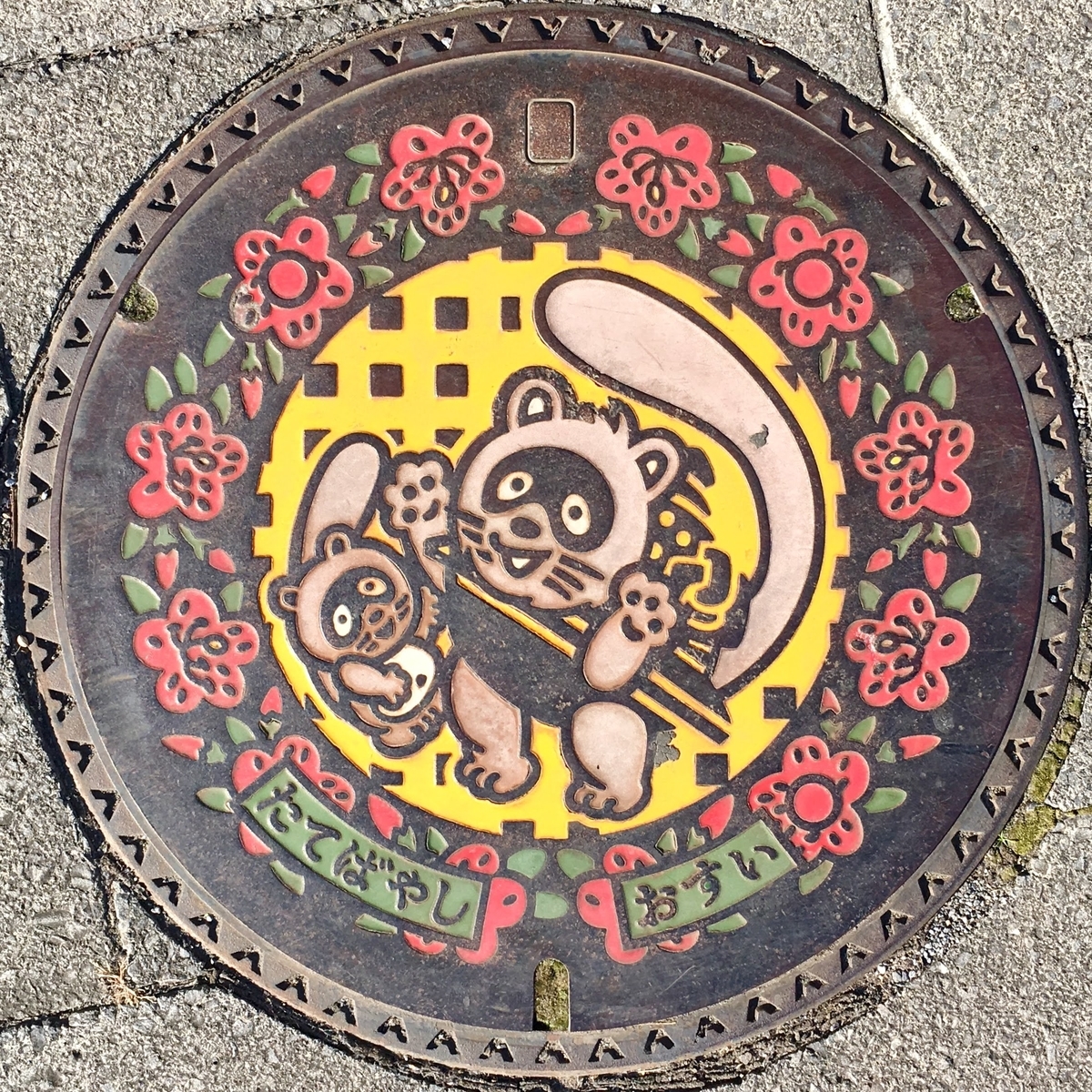 f:id:iamokura:20190620204808j:plain f:id:iamokura:20190620204808j:plain
