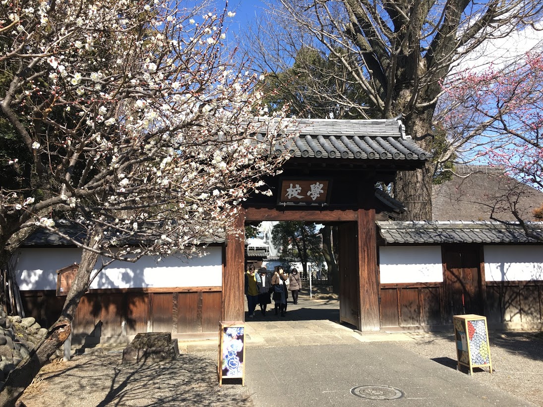 f:id:iamokura:20190621191825j:plain f:id:iamokura:20190621191825j:plain
