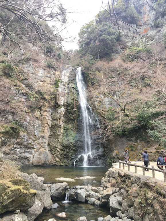 f:id:iamokura:20190622195343j:plain f:id:iamokura:20190622195343j:plain