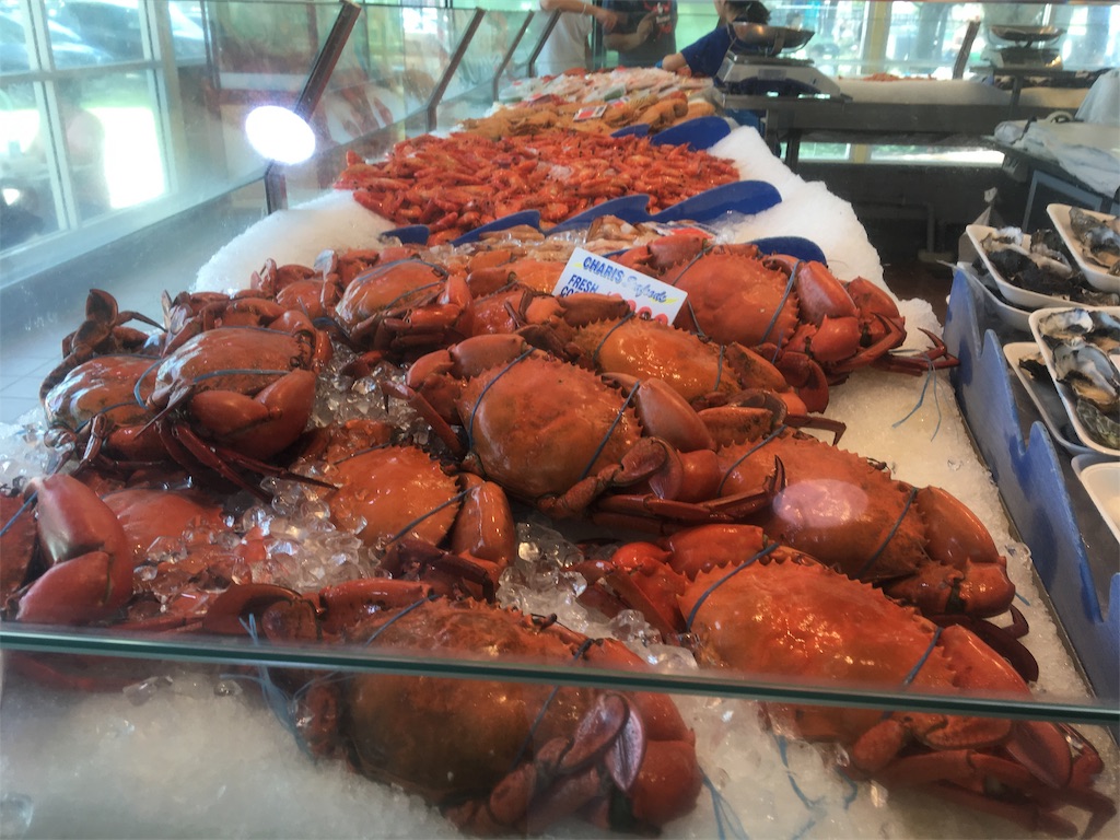 ゴールドコーストの穴場観光スポット？ペリカン餌付けと美味しいフィッシュ&チップスを楽しもう！ オーストラリアナチュラルライフ