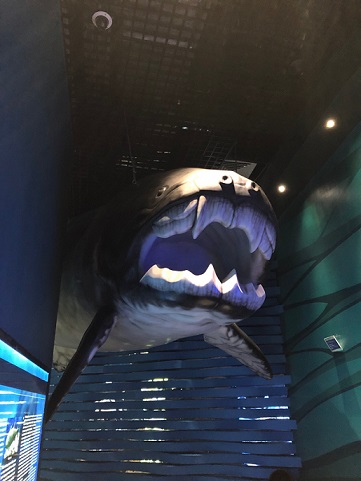 f:id:iamyu:20190525223850j:plain