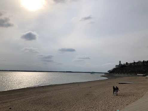 f:id:iamyu:20190526022739j:plain