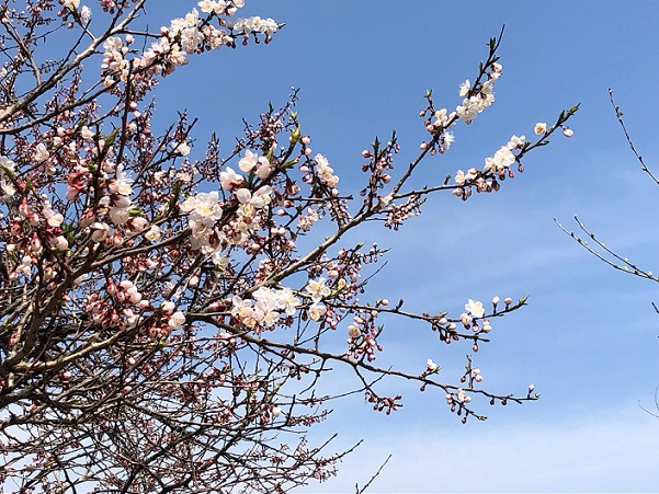 f:id:iamyu:20190526025112j:plain