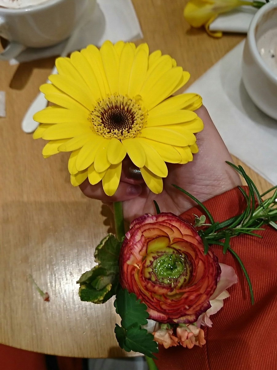 f:id:ibara810:20190501000601j:plain