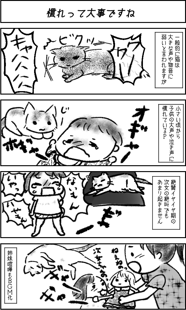 f:id:ibarakikids:20170723150348j:plain f:id:ibarakikids:20170723150348j:plain