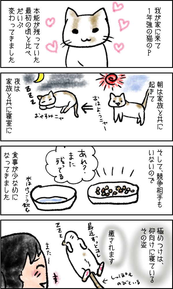 f:id:ibarakikids:20170922221038j:plain