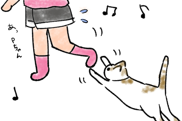 f:id:ibarakikids:20170924231410j:plain f:id:ibarakikids:20170924231410j:plain