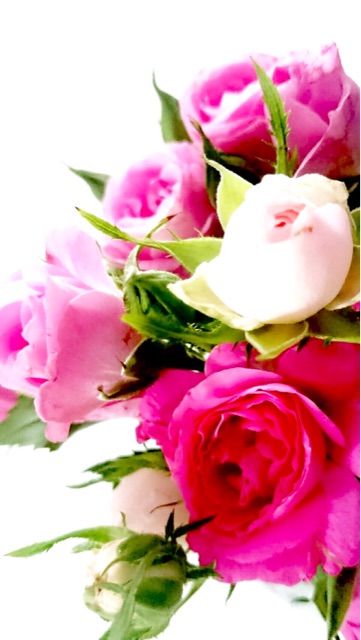 f:id:ibaya:20160817140116j:plain f:id:ibaya:20160817140116j:plain