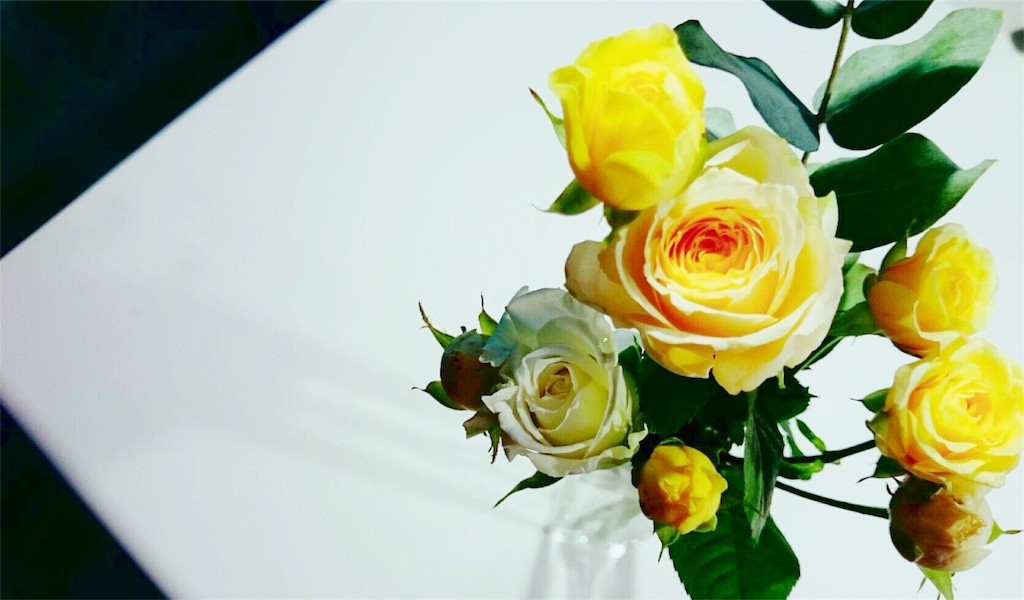 f:id:ibaya:20161128100923j:image