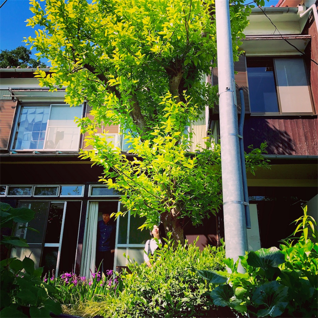 f:id:ibaya:20170429045911j:image