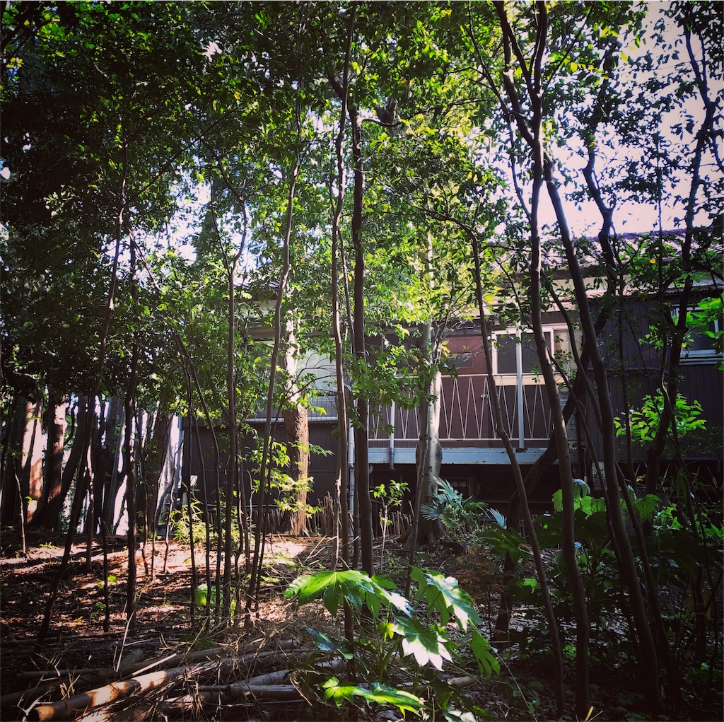 f:id:ibaya:20170429102738j:image