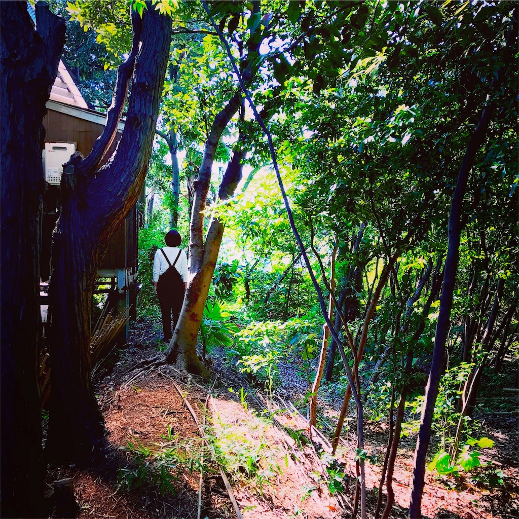 f:id:ibaya:20170430045147j:image