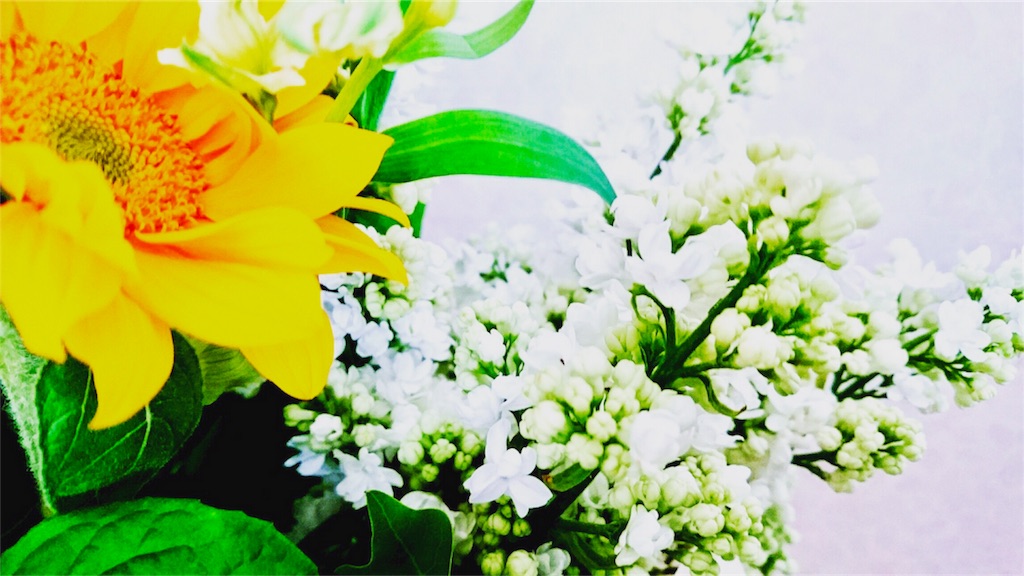 f:id:ibaya:20170511090341j:image