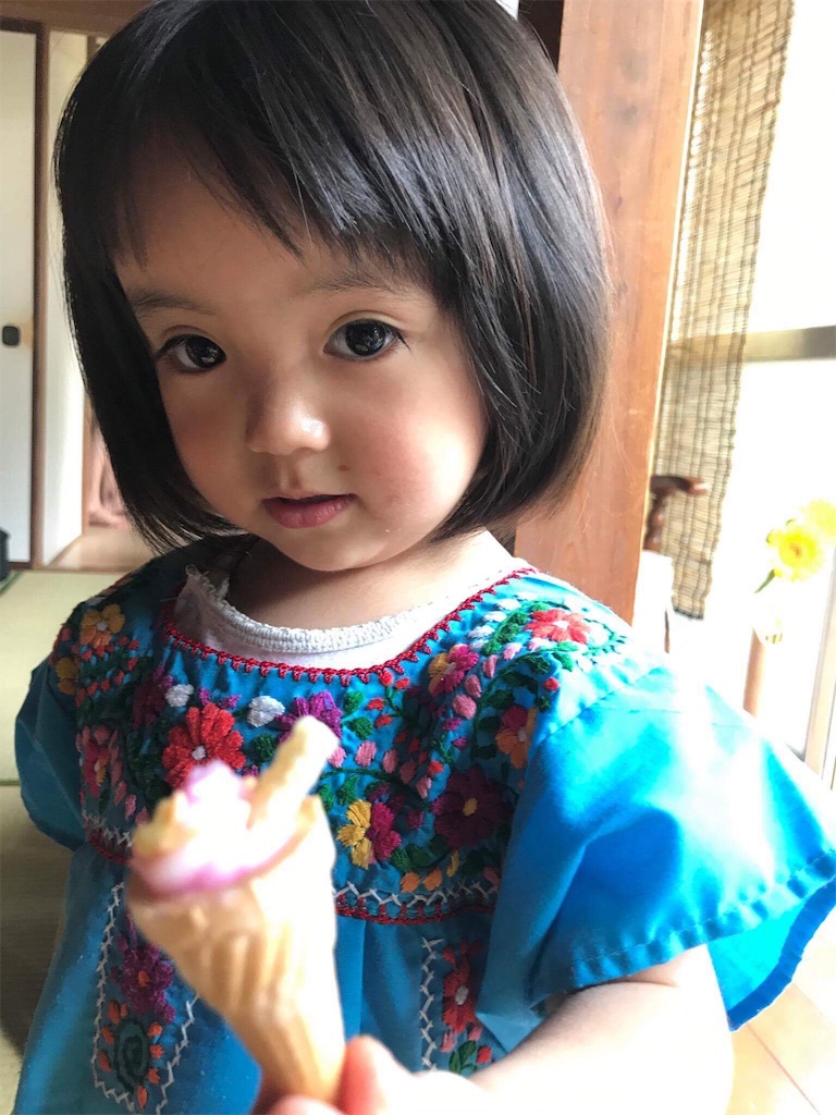 f:id:ibaya:20170608121522j:image