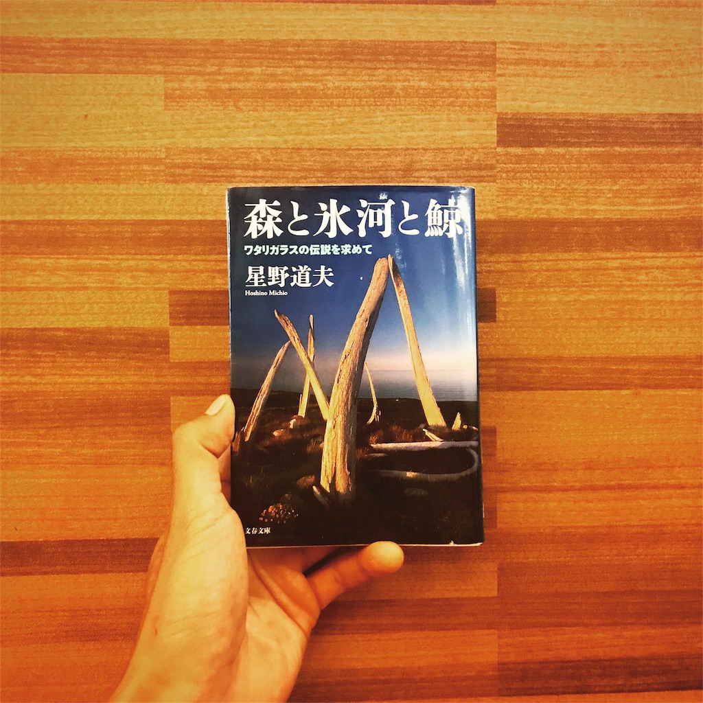 f:id:ibaya:20170810074917j:image