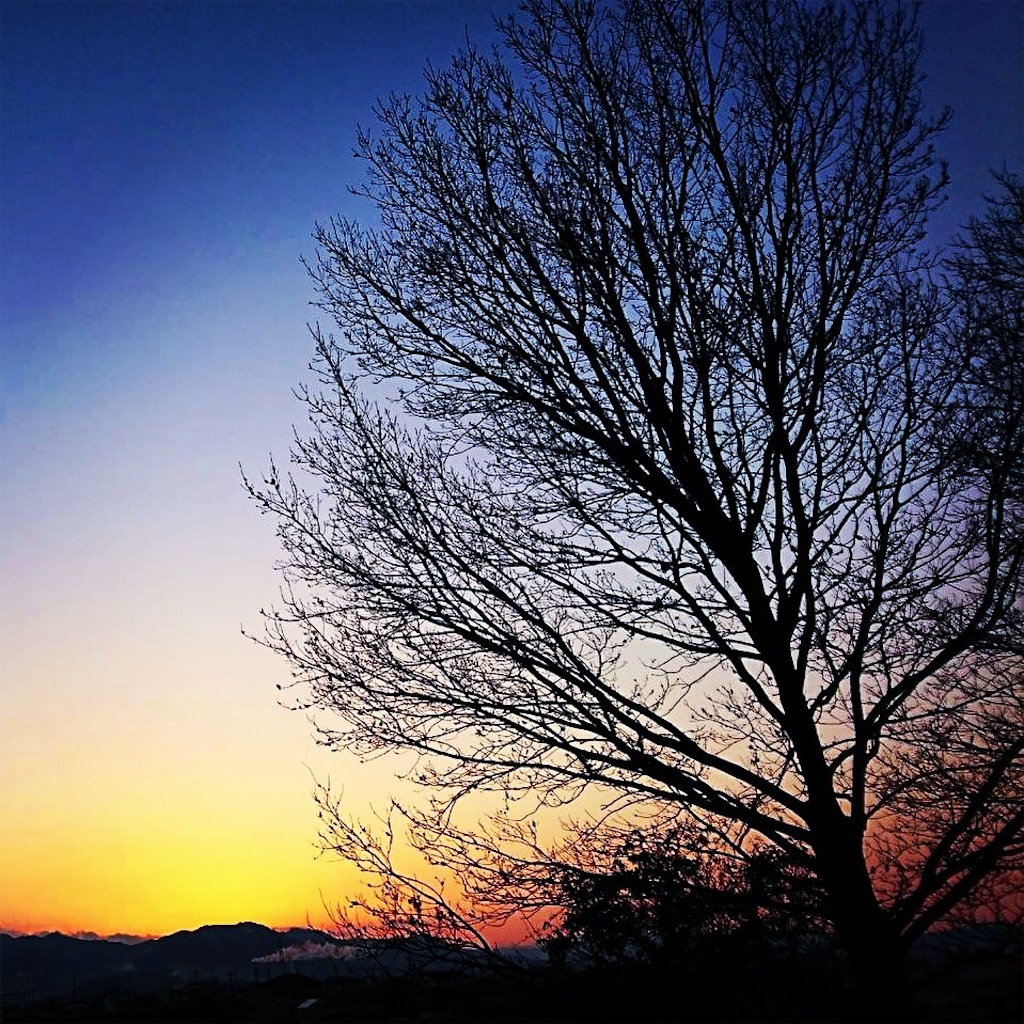f:id:ibaya:20180202075638j:image f:id:ibaya:20180202075638j:image