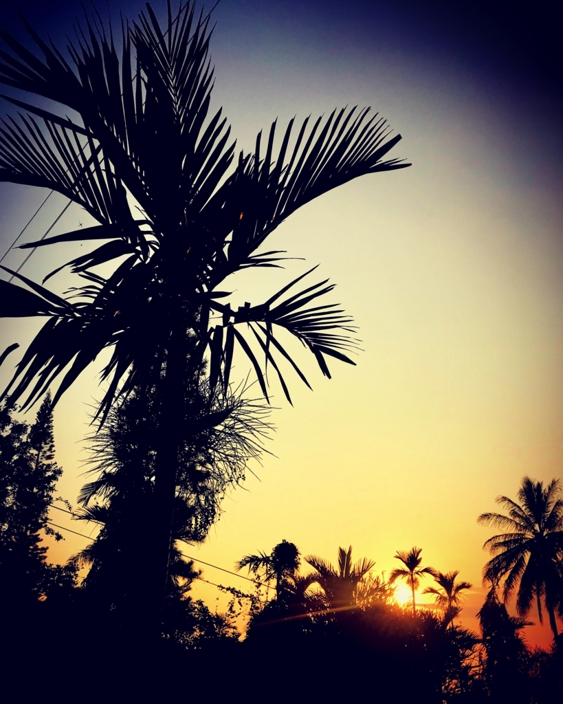 f:id:ibaya:20180305180838j:plain
