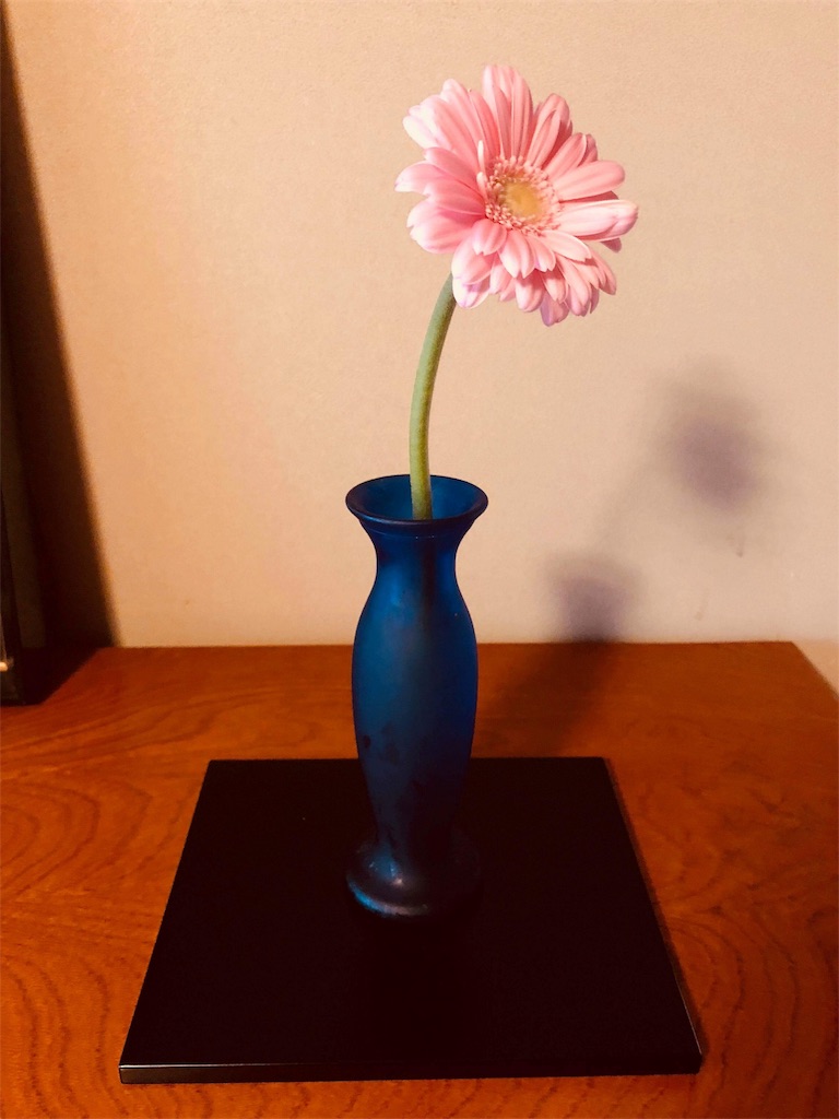 f:id:ibaya:20180315194901j:image