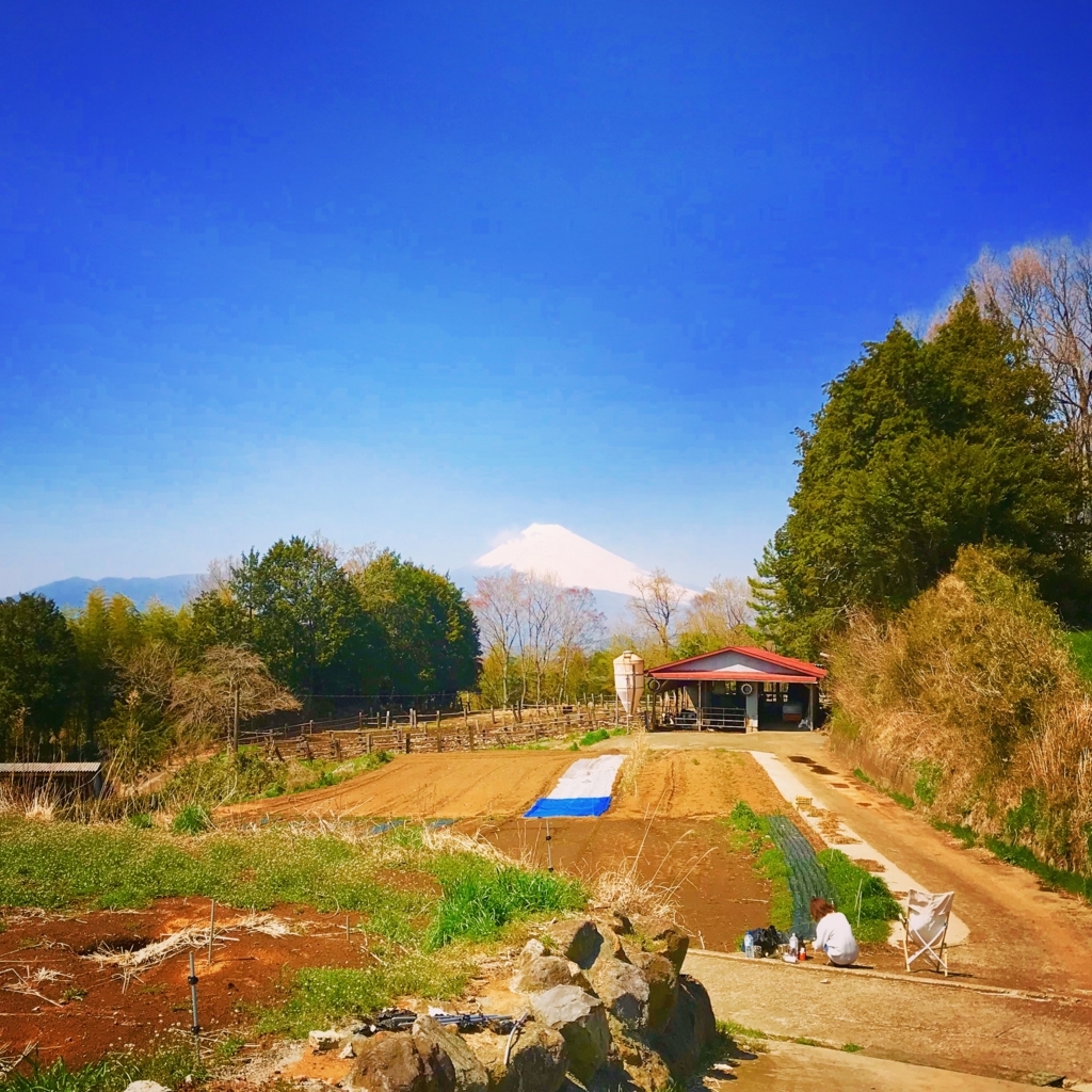 f:id:ibaya:20180325123023j:plain f:id:ibaya:20180325123023j:plain