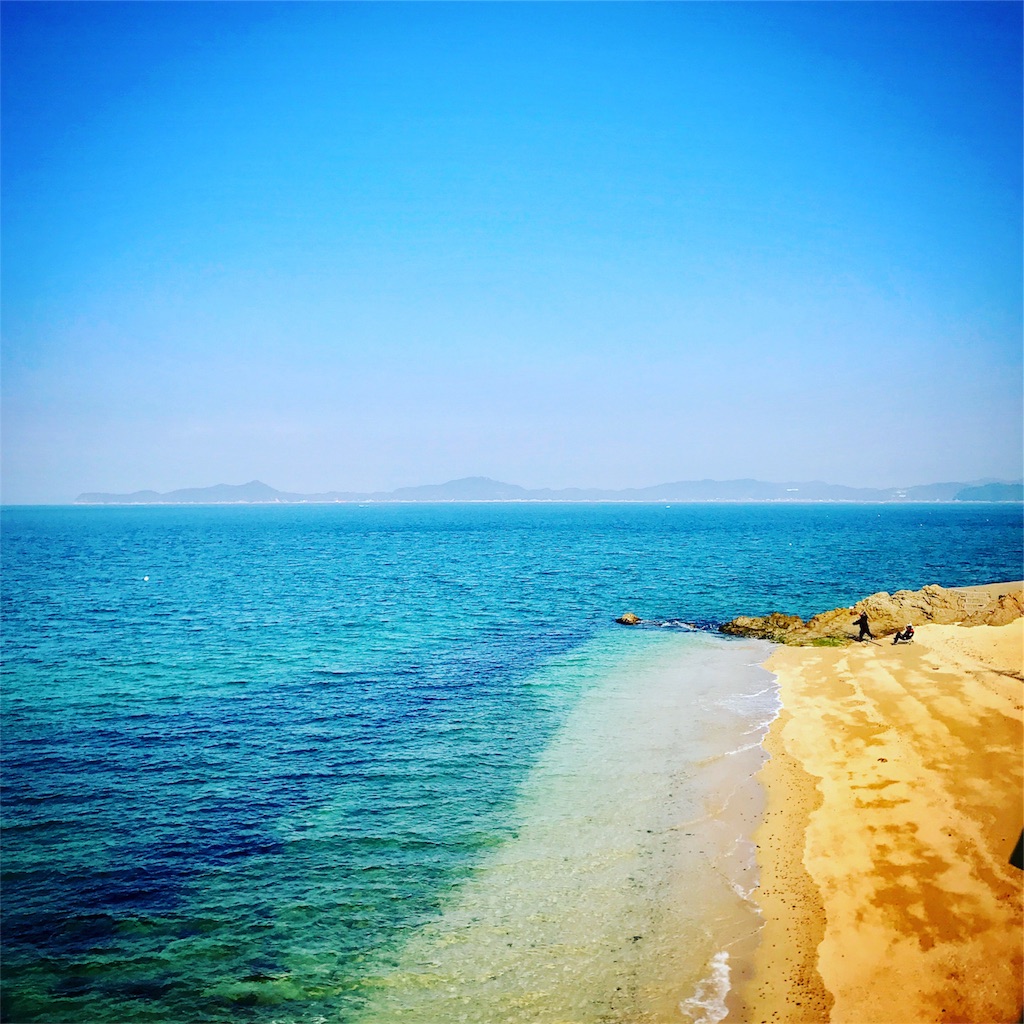 f:id:ibaya:20180703110843j:plain f:id:ibaya:20180703110843j:plain