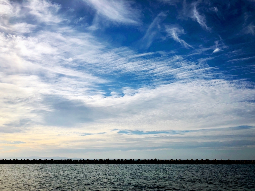 f:id:ibaya:20180819165847j:plain f:id:ibaya:20180819165847j:plain