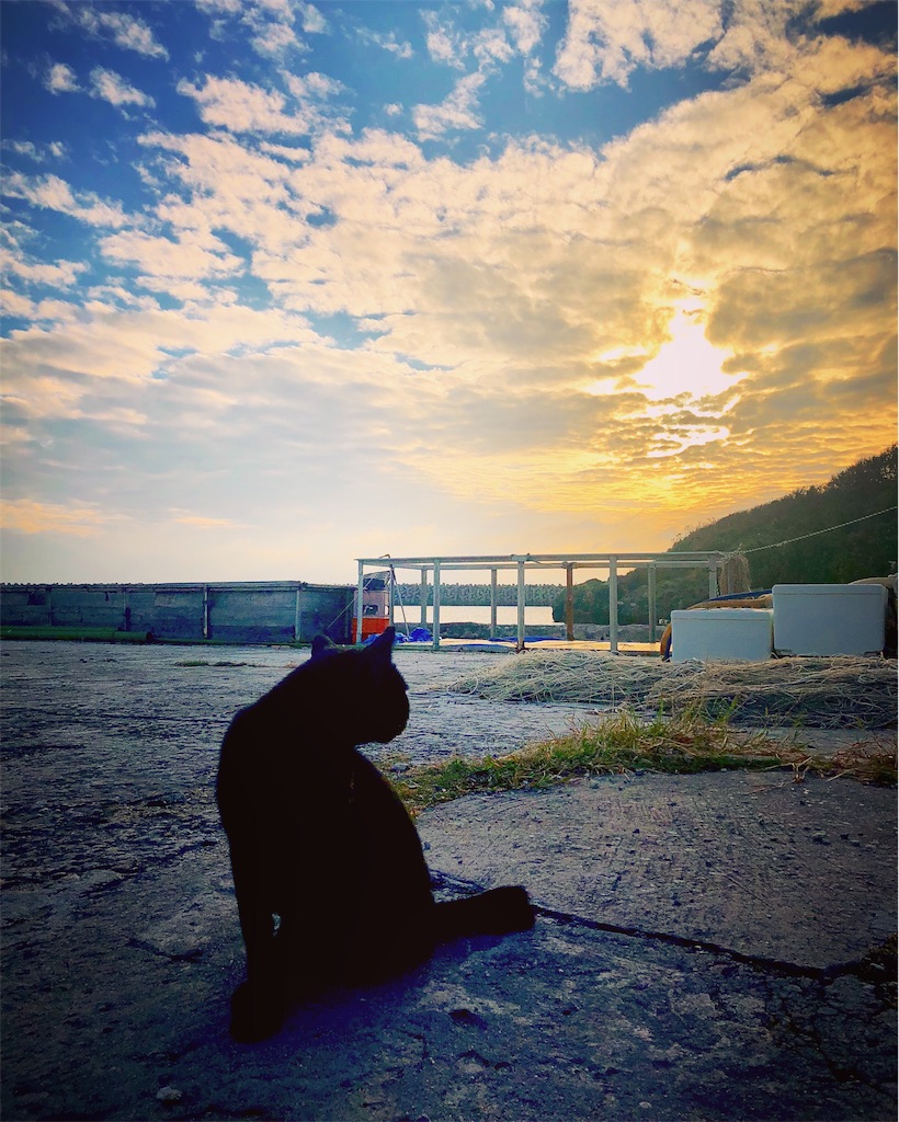 f:id:ibaya:20181015173351j:plain