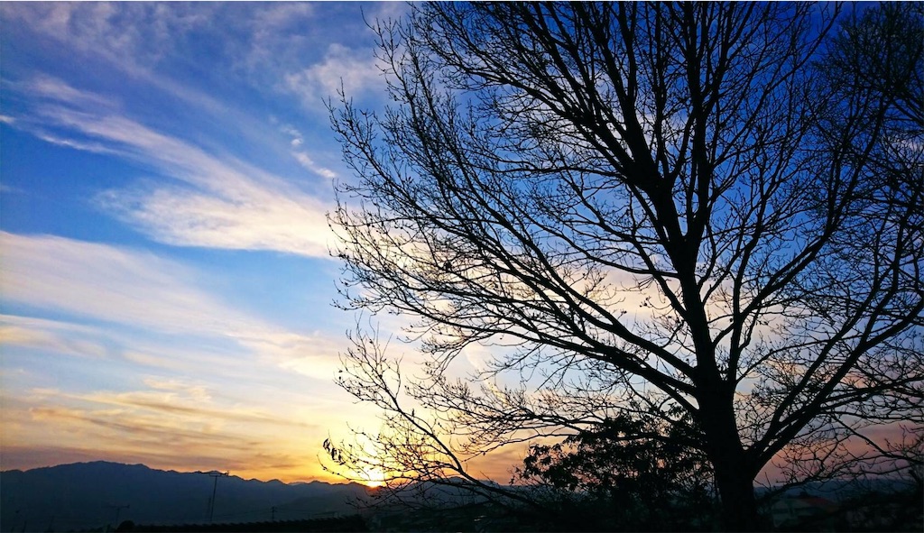 f:id:ibaya:20190206094734j:image f:id:ibaya:20190206094734j:image