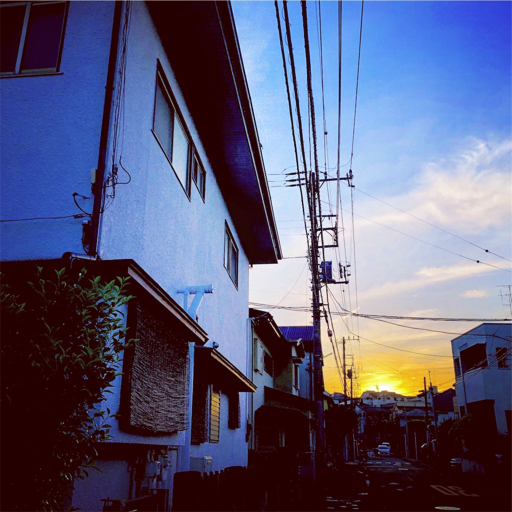 f:id:ibaya:20190510154901j:plain f:id:ibaya:20190510154901j:plain