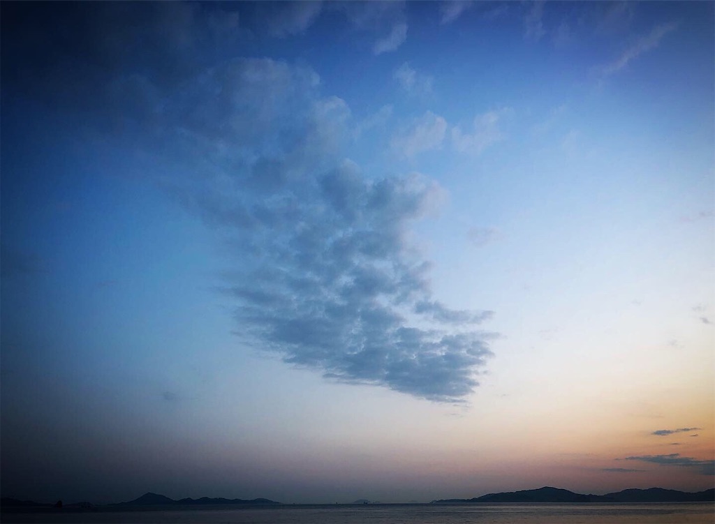 f:id:ibaya:20190613034254j:plain f:id:ibaya:20190613034254j:plain