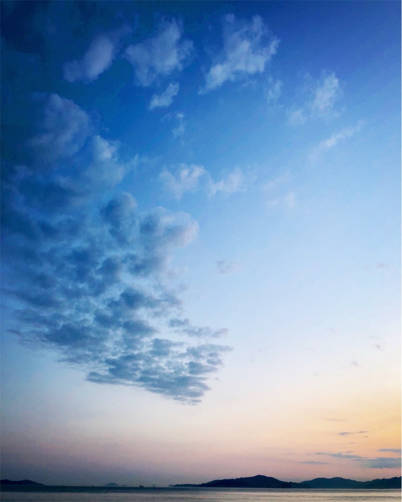 f:id:ibaya:20190613034257j:plain f:id:ibaya:20190613034257j:plain