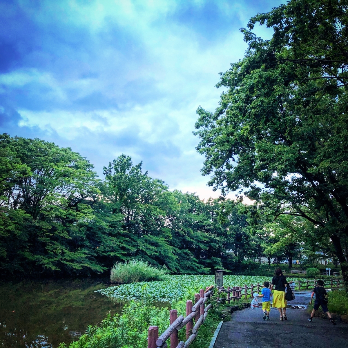 f:id:ibaya:20190624182816j:plain f:id:ibaya:20190624182816j:plain