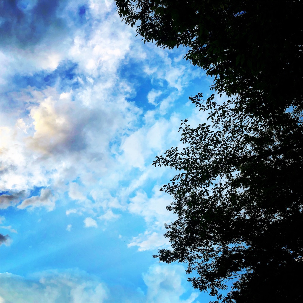 f:id:ibaya:20190630074547j:plain f:id:ibaya:20190630074547j:plain