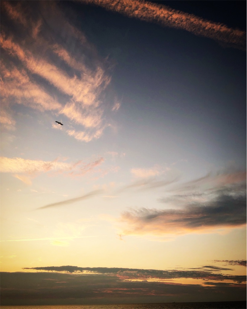f:id:ibaya:20190808114708j:plain