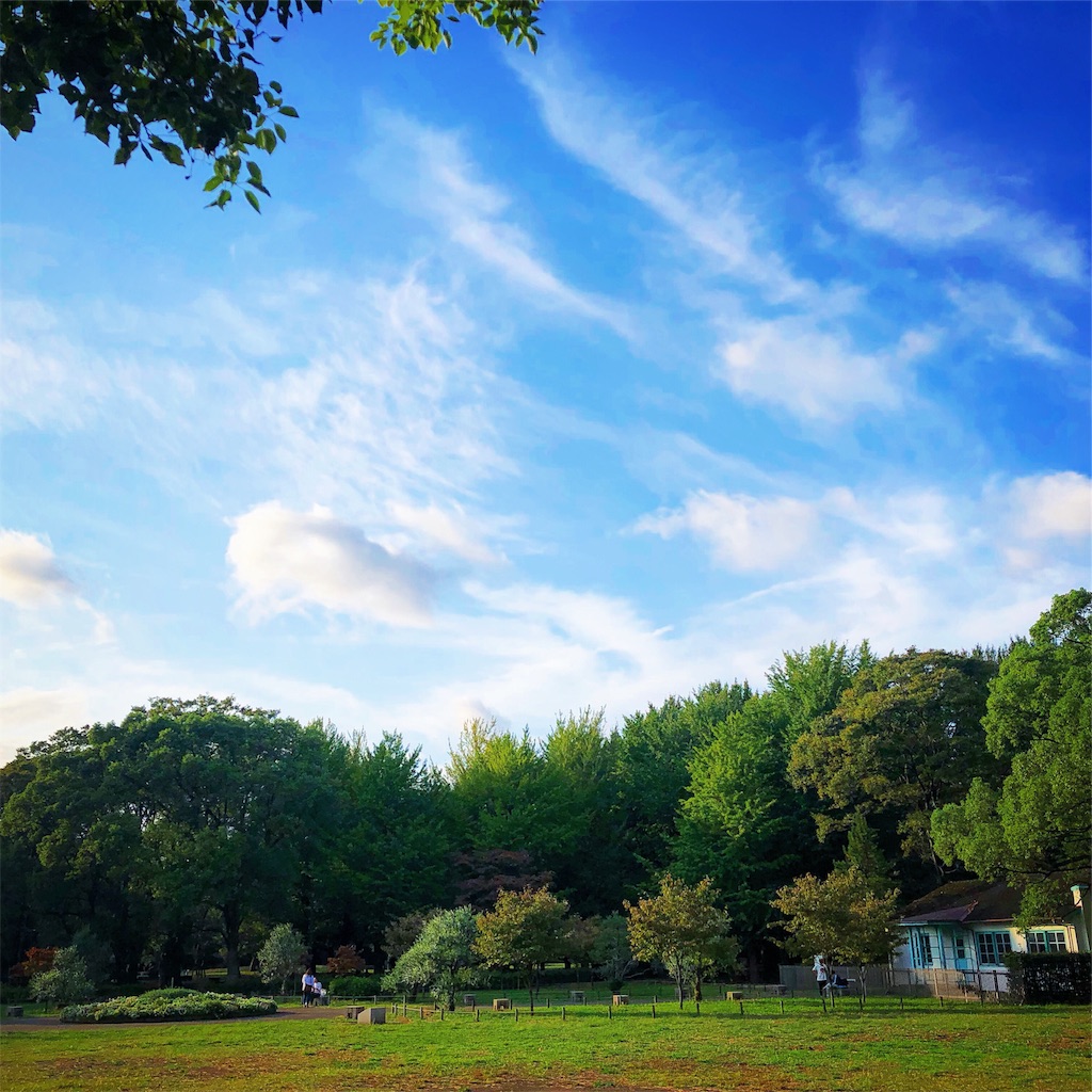 f:id:ibaya:20191007080609j:image