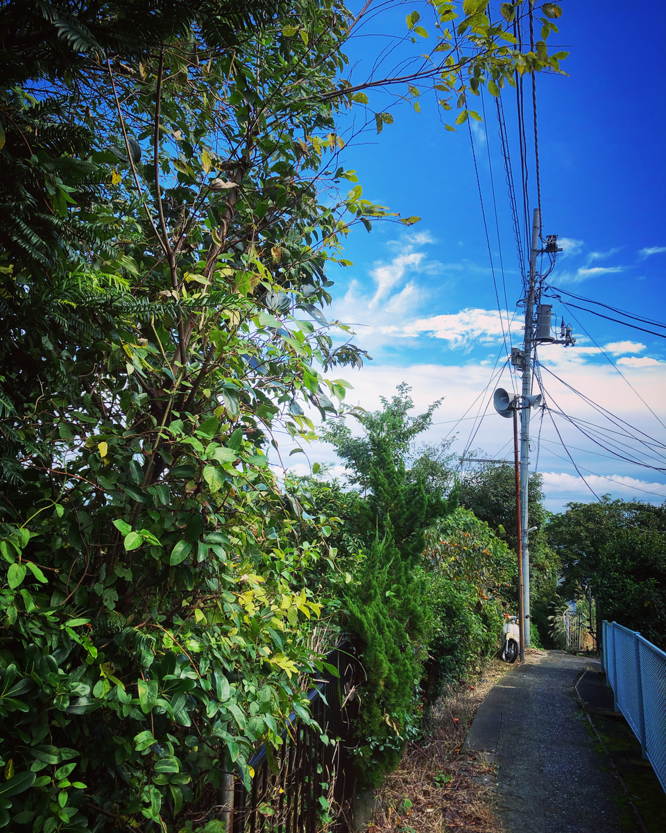 f:id:ibaya:20191022124929j:plain