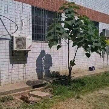 f:id:ibenzo:20171231151111j:plain