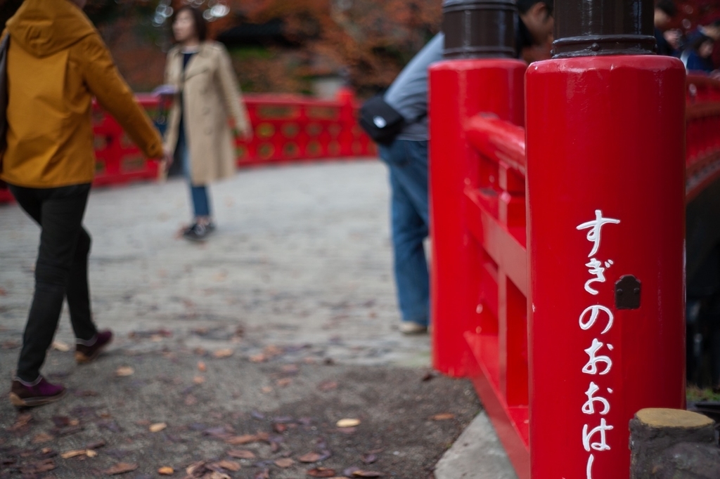 弘前公園 紅葉 菊と紅葉まつり 弘前城