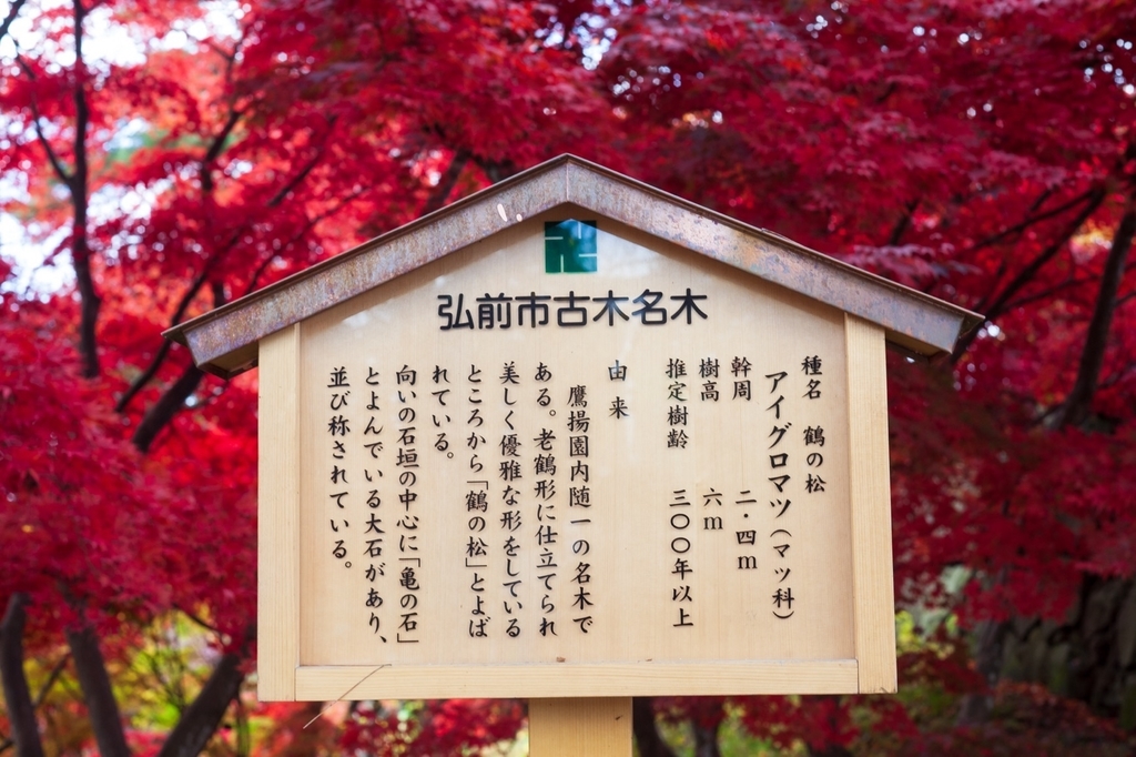 弘前公園 紅葉 菊と紅葉まつり 弘前城