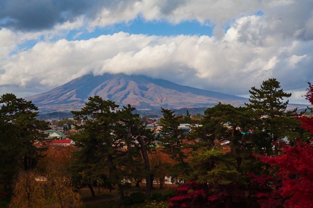 弘前公園 紅葉 菊と紅葉まつり 弘前城