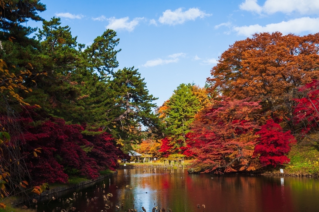 弘前公園 紅葉 菊と紅葉まつり 弘前城