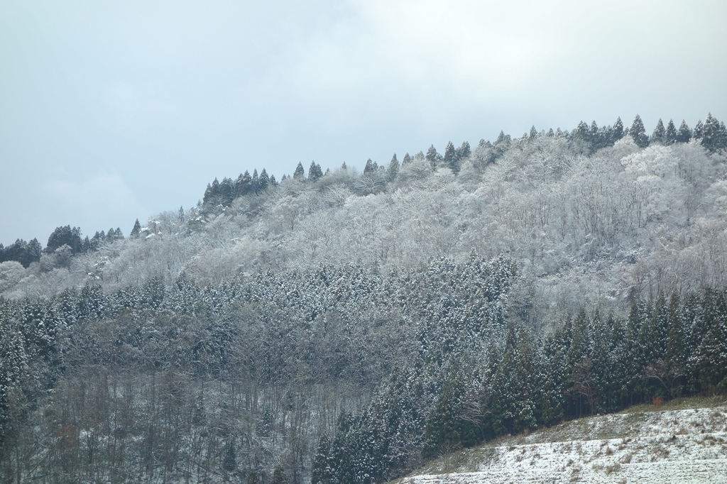 大鰐 大鰐温泉 雪 絶景