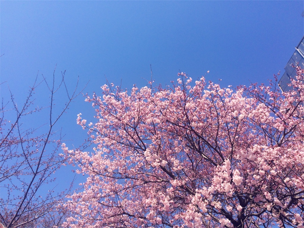 f:id:ibitbit:20170403195016j:image f:id:ibitbit:20170403195016j:image
