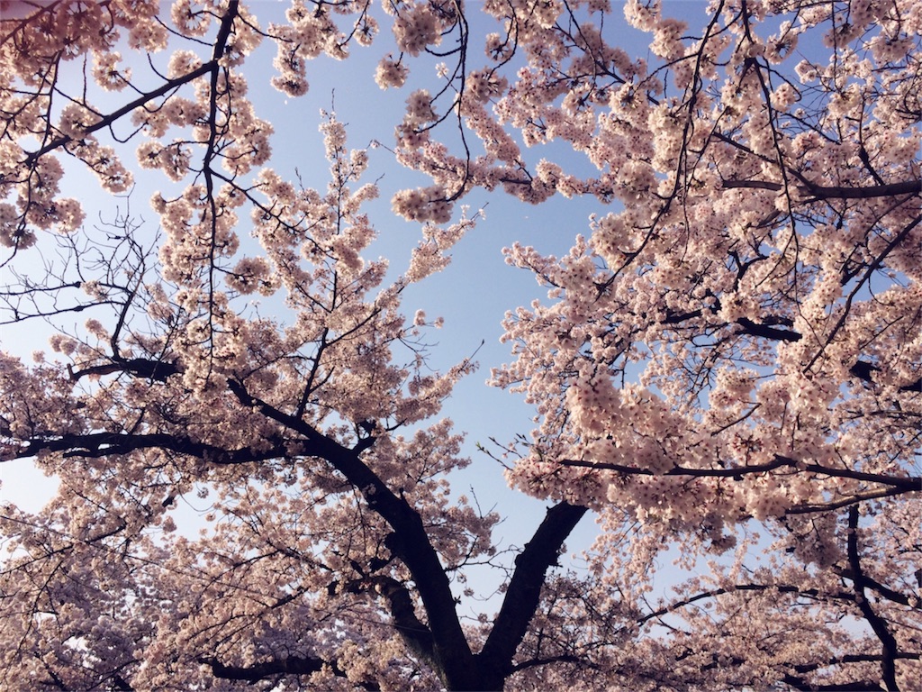 f:id:ibitbit:20170409171448j:image f:id:ibitbit:20170409171448j:image