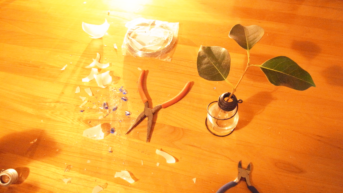 f:id:iboughtafixerupper:20200527164324p:plain