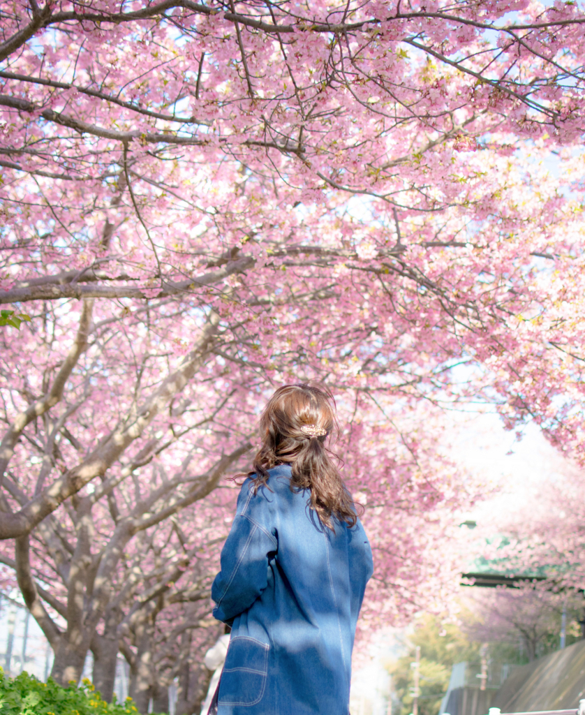 f:id:ibrooch:20180322145035j:plain f:id:ibrooch:20180322145035j:plain
