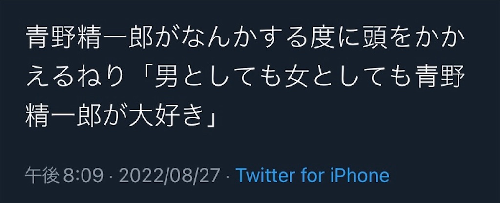f:id:ibuki_ju:20220830220241j:image