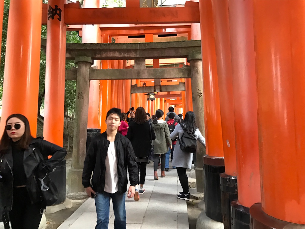 f:id:ibukishimatani:20170402180403j:image f:id:ibukishimatani:20170402180403j:image